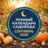 Лунный календарь садовода и огородника на сентябрь 2026: благоприятные дни для посадок, сбора урожая и пересадки комнатных растений